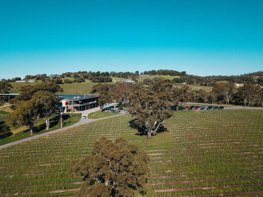 Winery 56